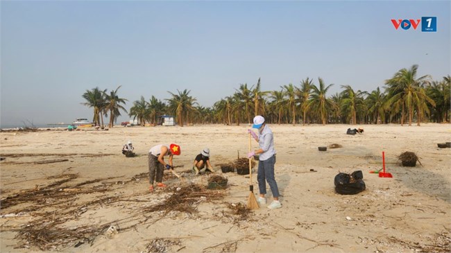 Dọn rác sau siêu bão Yagi, câu chuyện của người dân Quảng Ninh (15/09/2024)